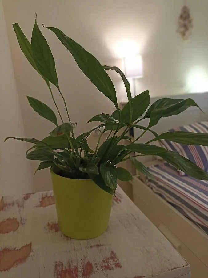 Apartamento Confortable habitación céntrica en piso privado Málaga Habitación en casa particular